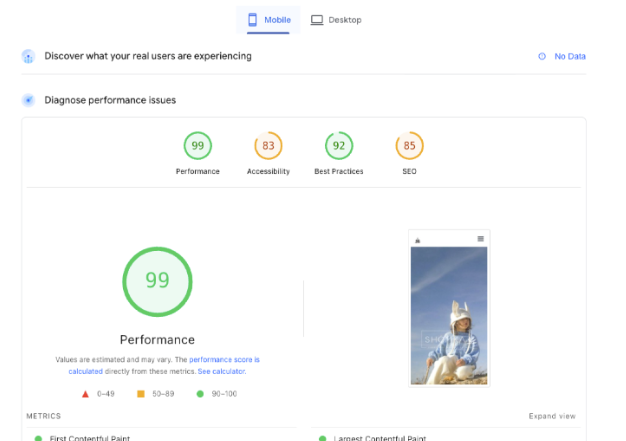 PageSpeed Insights report showing a 99 performance score